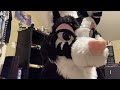 @PinkGeminiHusky RAFFLE UNBOXING!! :D