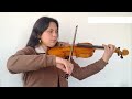 How to Paint Violin - French Polishing - Chapter 16