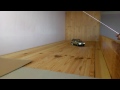 RC Silverlit BMW X5 in slow motion video