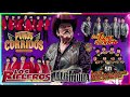 100% Puros Corridos 💥 Los 30 Exitos Corridos Viejitos Con Banda Pa' Pistear 2024