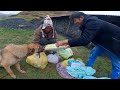 40 años VIENDO SOLO: la vida en los Andes Peruanos - Tío Aurelio