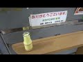 Sobu Line In Tokyo Is Very Interesting! | Akihabara, Ryogoku