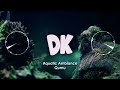 Donkey Kong Country - Aquatic Ambiance [Remix]