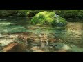 4K video + natural environment sound ASMR  / The Enbara River with amazingly beautiful water.