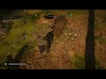 Assassin's Creed Valhalla - Niedźwiedź padł
