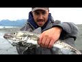 Hooking Fish at the Homer Spit | Fresh Seafood Catch & Cook