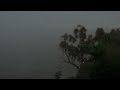 3 hours of rain sound | Calming rain sound to sleep, relax and chill