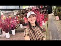 Vlog 102｜在新加坡邻里商店办年货