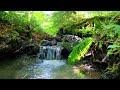 Sounds for Sleeping - Calming River Sounds - Relaxing Nature Video