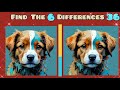 Find 3 Differences With A Cute Puppy Puzzle -  Brain Test With @PuzzleWorldStudio