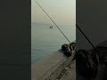 perlawanan induk dam ijo muarabaru @Liengshang_fishing_chanel
