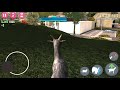 playing goat simulator!