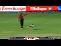 Funny movements of cricket ! Dog makes cricketer run in the IPL feild