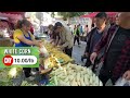 The Morning Market in Guizhou, China: op-notch Spicy Chicken, Chili and Tofu Paradise, Relaxed Vibe