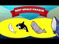 Best Whale Awards | Learn Amazing Facts about Whales!