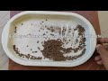 How To make Aqua soil | First In YouTube Now make ur own Aquasoil After Watching This video #diy