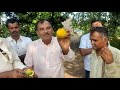 Please🙏 watch this deeply informative video about various types of Desi Mangoes 🥭🥭 of Gir - Junagadh