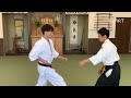 Aikido Expert vs Karate Master | Don't Mess With Aikido Master