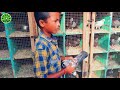 Pigeon Farm | பந்தயப்புறா தேர்வு | Maari பட பாணியில் பந்தய புறா வளர்க்கும் 7வது படிக்கும் சிறுவன் |