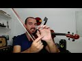 6 Cosas que tenes que dejar de hacer con el violin INMEDIATAMENTE! - TheMulza.com
