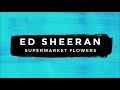 Ed Sheeran - Supermarket Flowers [1 hour]