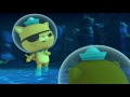 Octonauts - Who Loves Sharks?