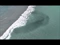 Juno Beach Mullet Run 2023  (Drone)
