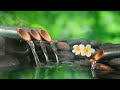 Bamboo Water Fountain Healing BGM 24/7 | Healing music, effective recovery [BGM healing music]