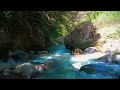 Forest Stream Flowing. River Sounds, White Noise, Stream Sounds for Sleep or Relax