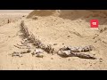 সাহারা মরুভূমি | পৃথিবীর বৃহত্তম মরুভূমি | আদ্যোপান্ত | The Sahara Largest Hot Desert