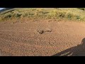 TAT Episode 15 NM Rattle Snakes