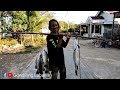 Surganya para pemancing ikan Kakap/Barramundi