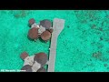 Bora Bora 4K - Scenic Relaxation Film with Calming Music