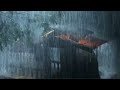 Heavy Rain and Mellow Thunder at Night - Pure Rain Sounds for Sleeping - Distant Thunderstorm Sounds