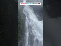 Mainapi Waterfall Netravali Goa #goadiary #goa #goatourism #nature #waterfall #waterfalls