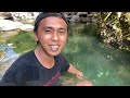 Camping and fishing in clear mountain spring rivers||solo camping-bushcraft