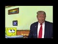 How Trump Reacts During The Election, Portrayed By Spongebob