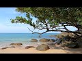 Nature's Tranquility🌴Relaxation at Khao Lak's Secluded Beach in Thailand 🌊 Sleep Well with ASMR [4K]