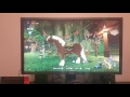 Legend of Zelda Breath of the Wild : Switch, Feeding Your Horse