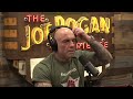 Joe Rogan Experience #2194 - Luis Elizondo