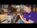 How To Trim Your Dogs Nails - Master Class