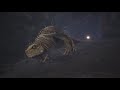 Borealis Bestiary - The Great Jagras Ecology (Nature Documentary)