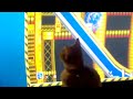 Tiger the cat  watches sonic