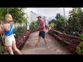 Butterfly Landing Epcot Flower and Garden 2023