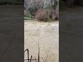 Big Sewickley Creek (after 2 days of hard rain) 04-03-24