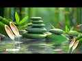 Soothing Melodies: Insomnia Relief, Stress Reduction, Deep Sleep, Spa & Meditation Music 🌿#3