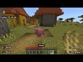 Random armadillo in Minecraft (never seen one before)