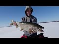 2016 First Ice Lake Simcoe Lake Trout Smashfest!  Jan 23/16