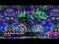 Dr. Hinge Live @ Bicycle Day 2024