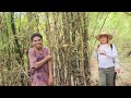 Aeta Tribes Cooking MUSHROOMS for Lunch